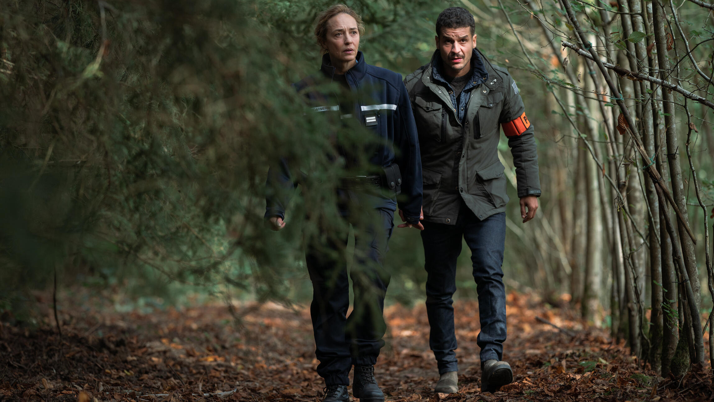 « Les bois assassins »